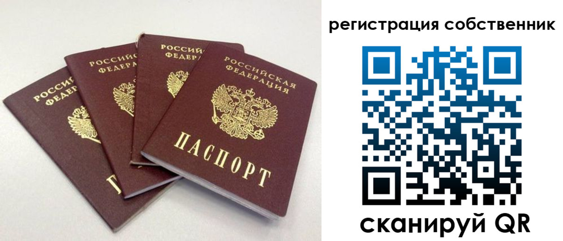 прописка для школы в Ессентуках
